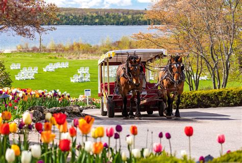 10 Questions About Horses – Mackinac Island