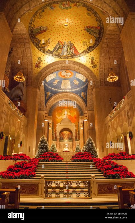 Interior architecture of The Basilica of the National Shrine of the ...