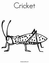 Free Printable Cricket Coloring Page sketch template