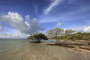 Islamorada Beaches Florida Keys Find The Best Beach In Islamorada