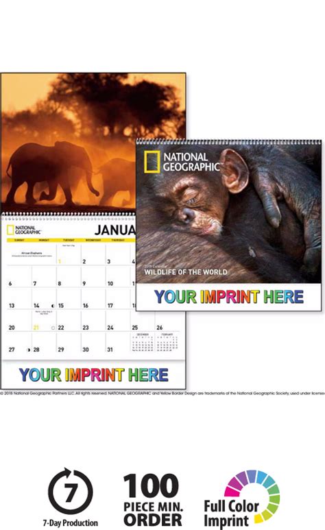 2019 National Geographic Wildlife of the World Calendar | 11" X 19 ...