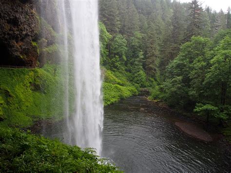 The Best Oregon Wine Tour: Wine and Waterfalls - 1859 Oregon's Magazine