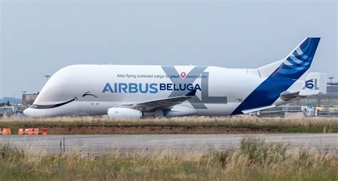 Airbus rolls out sixth and final BelugaXL transport | Flipboard