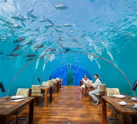 Ithaa Undersea Restaurant | Conrad Maldives Rangali Island Dining