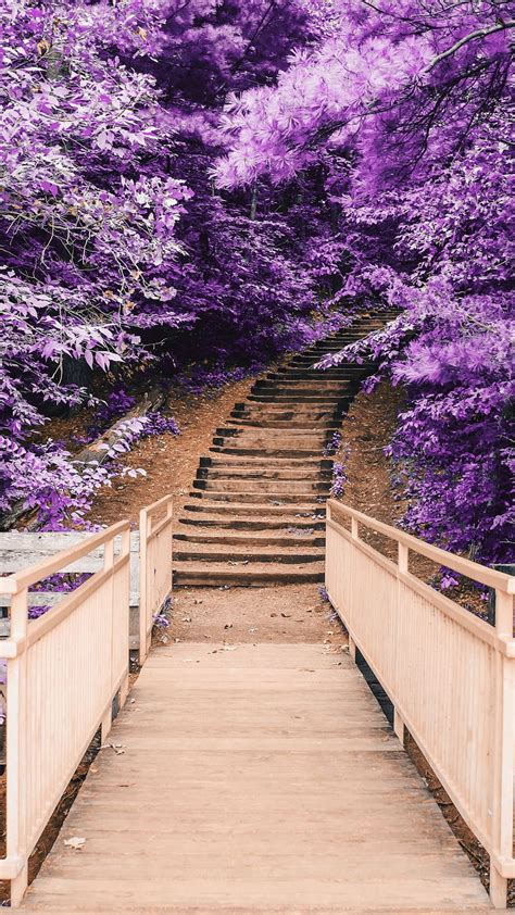 Blossom, park, wooden staircase, . Nature, Wood and Flower Aesthetic HD phone wallpaper | Pxfuel