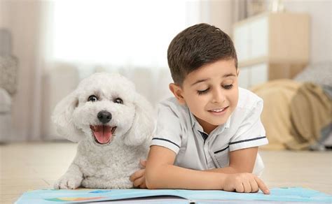 Puppy Pals Reading Program, Oldsmar Public Library, 15 March 2023