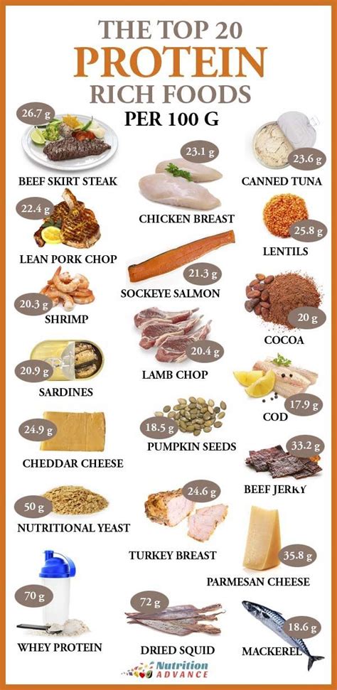 High Protein Foods