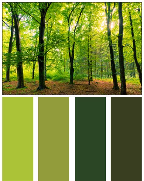 Forest Green Color Combinations