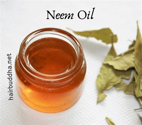 How to Use Neem Oil for Hair Growth, Dandruff and Eczema - hair buddha in 2020 | Neem oil for ...