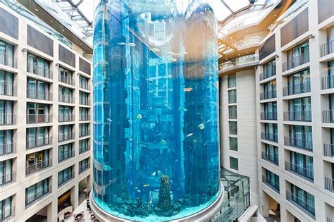 10 Largest, Biggest & Best Aquariums In the World