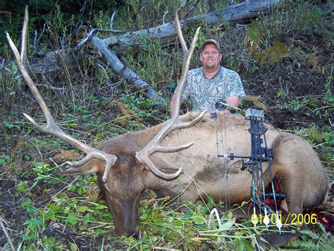 Colorado Archery Elk Hunting - Elk Hunting