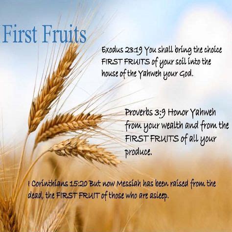 Feast of First Fruits | Fruit, Proverbs 3 9, Harvest