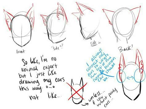 Cat, ears, neko, text; How to Draw Manga/Anime | Drawings, Drawing ...