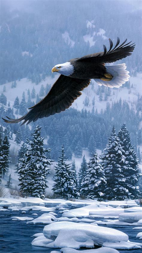 Flying Bald Eagle In Snow Covered Forest During Winter 4K HD Birds Wallpapers | HD Wallpapers ...