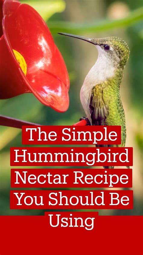 Making your own hummingbird nectar is easy and takes less than 5 minutes. Learn how to make your ...