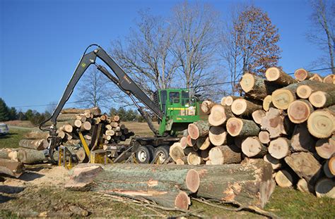 Logging Process - INDIANA TIMBER AND VENEER, LLC