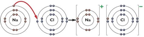 [DIAGRAM] Sodium Chloride Dot Diagram - MYDIAGRAM.ONLINE