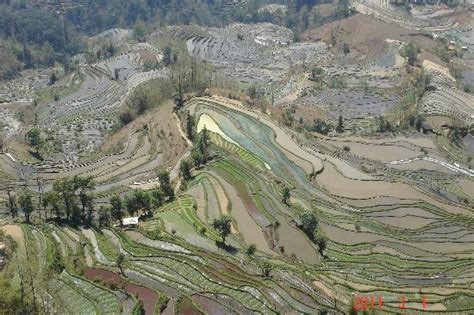 Yuanyang Rice Terraces (Yuanyang County) - 2019 All You Need to Know ...