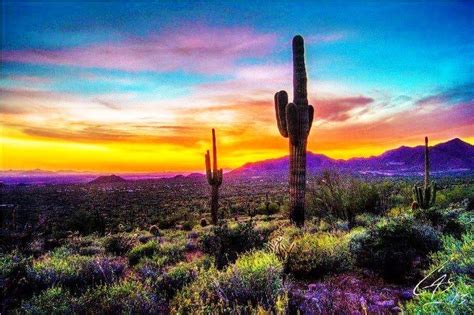 Desert Downtown Arizona Sunset Phoenix Arizona - Where to see Arizona's ...