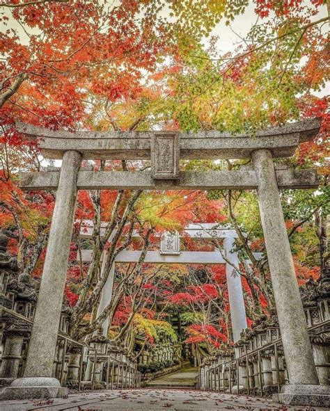 Kashima Shrine | Credit: @odekakephoto7 | Japan photo, Japan, Shrine