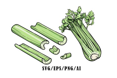 Celery SVG. Vector Illustration of Celery Celery SVG - Etsy