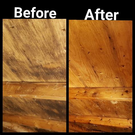 Attic Mold Removal Toronto - ⭐ Get Rid Of Mold In Your Attic