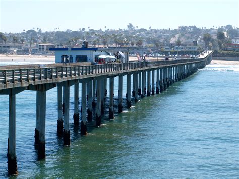 Are Dogs Allowed On Ob Pier