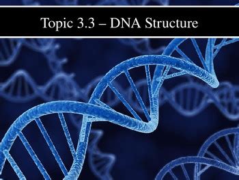 IB Biology (2009) - Topic 3.3 - DNA Structure PPT by Dokimi Science PPTs