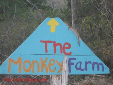 The Monkey Farm - Costa Rica Playas del Coco - Volunteers Base: Free alternative to HelpX ...