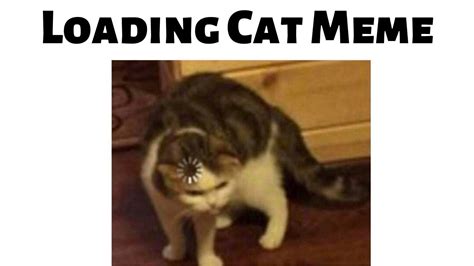 Loading Cat - Meme Compilation - YouTube