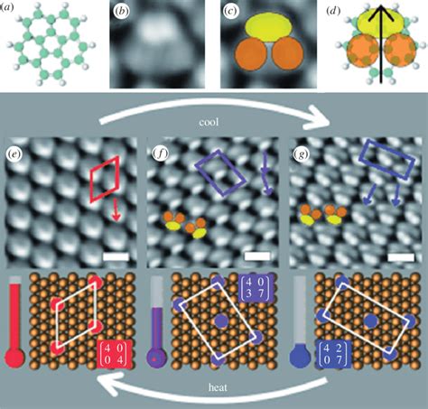 Reversible phase transitions in the monolayers of corannulene on ...