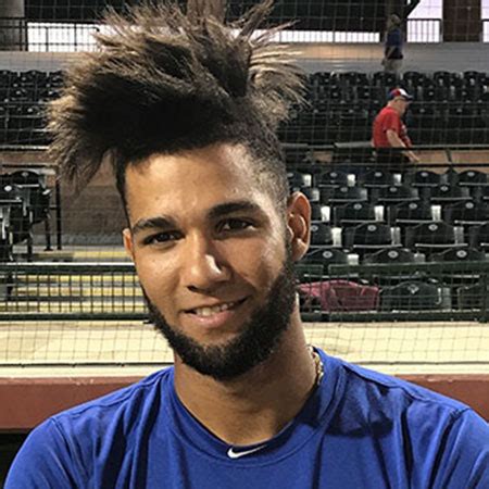 Lourdes Gurriel Jr. Biography- MLB player, stats, contract, net worth ...