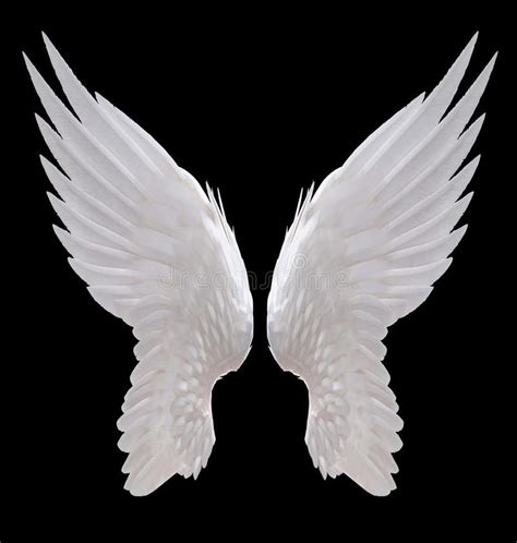 White angel wing. Isolated on black , #Affiliate, #angel, #White, #wing, #black, #Isolated #ad ...