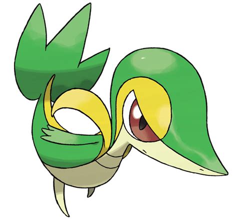 Snivy - WikiDex, la enciclopedia Pokémon