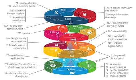 Can the Kunming-Montreal global biodiversity framework fulfill its ...