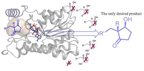 Two products-ten stereoisomers, how to get only one? | Research ...