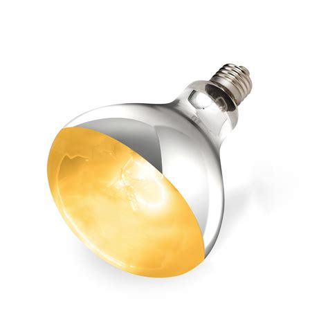 Best Uvb Bulb Vitamin D – Your Best Life