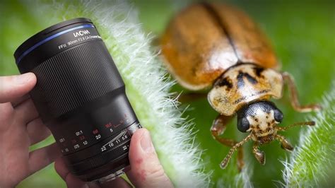 Laowa 90mm Lens Review - Best In Photography