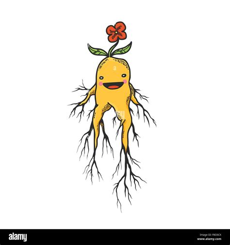 Vector Illustration of the Cute Mandrake Roots Cartoon Character ...