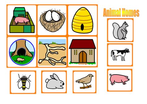 animal and their homes clipart 10 free Cliparts | Download images on ...