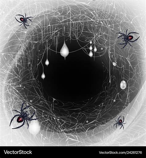 Black widow spiders nest 3d realistic Royalty Free Vector