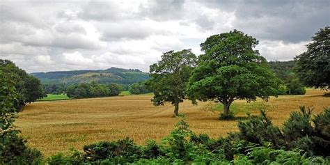 Guisborough Forest & Walkway Visitor Centre - 2021 All You Need to Know Before You Go (with ...