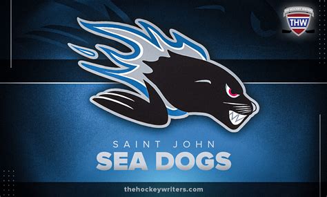 Saint John Sea Dogs Commit to Rebuild With Total Roster Revamp - The ...