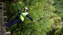 Ziplining Forest Adventure - The Original Canopy Tour Rotorua 2021