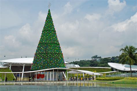 Christmas Tree | The 30.9m Christmas tree is at the roof ter… | Flickr