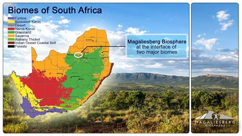 BIODIVERSITY - Magaliesberg Biosphere