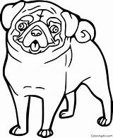 Pug Coloring Pages 20 Free Printables  ColoringAll sketch template