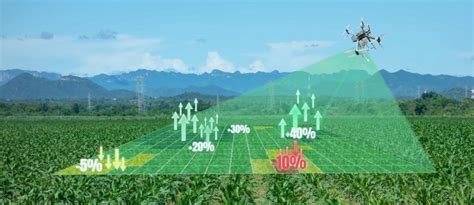 The benefits of drones in agriculture – Virginia Tech India