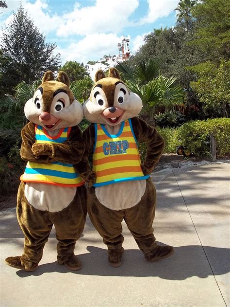 Chip and Dale | Chip and dale, Disney world characters, Disney theme parks