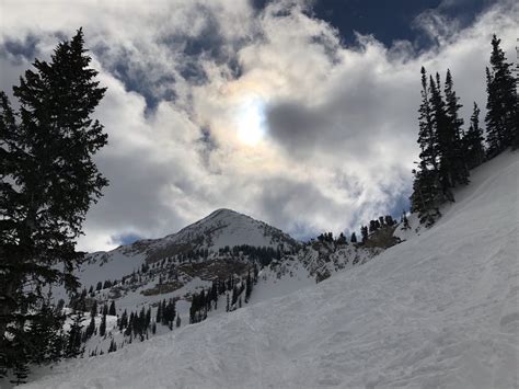 Alta, UT Report: Still Plenty of Great Snow from Last Week's Mega Storm - SnowBrains